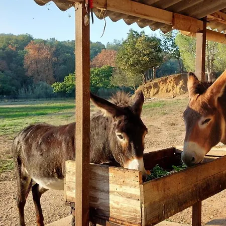 Un Coin Tranquille Holiday home *